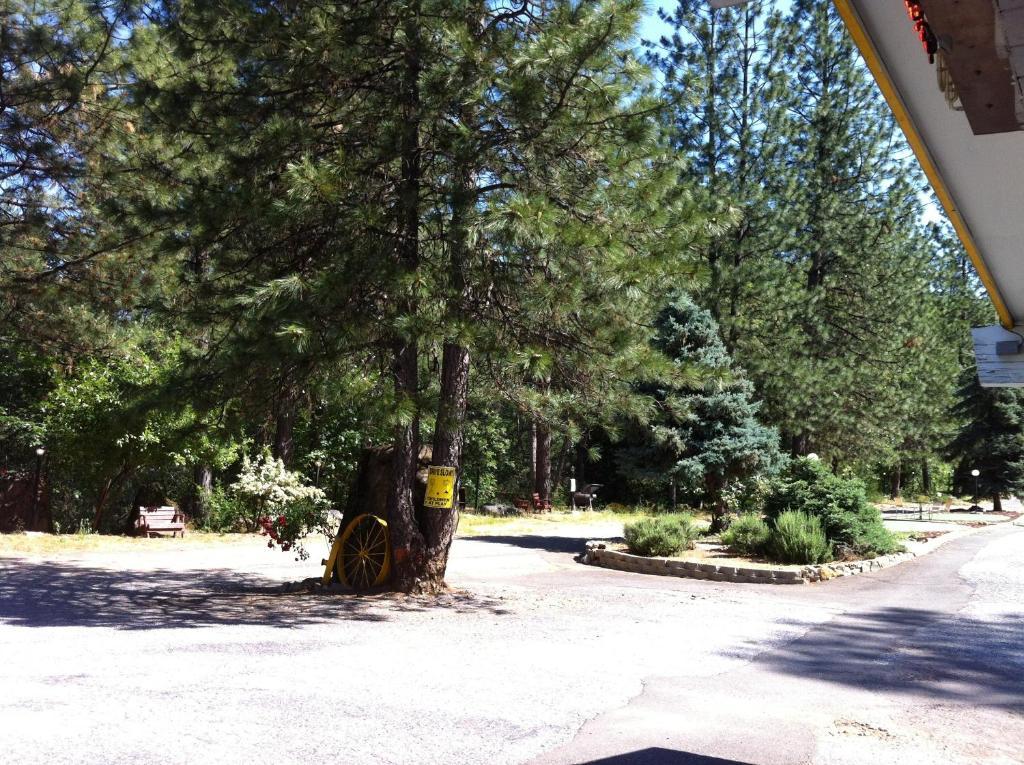 Golden Chain Motel Grass Valley Exterior foto